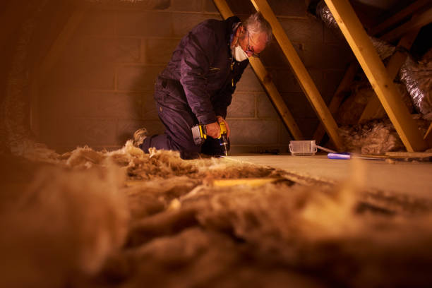Best Types of Insulation in Northlake, SC